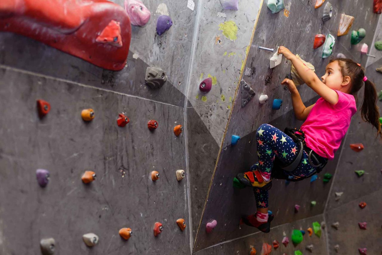 Rock Wall Climbing Camp Houston ~ Elite University Summer Camps